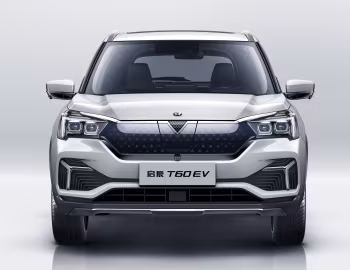 Venucia T60 EV '2019–pr.