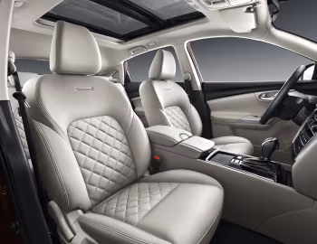 Interior Venucia T90 '2019–22