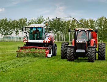 RSM 1401, Versatile 305