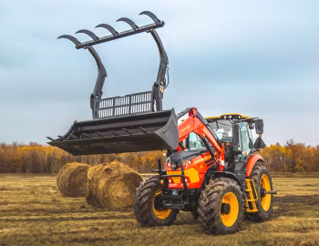Versatile Nemesis 175 [North America] '03.2019–pr.
