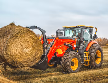 Versatile Nemesis 175 [North America] '03.2019–pr.