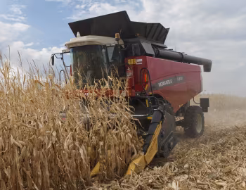 Versatile RT490 '2012–18