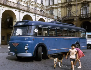 Viberti 3F '1973–????