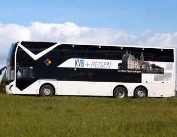 Viseon LDD13 '2012–13