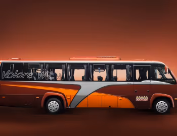 Volare W-L Limousine '2013–18