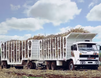 Volkswagen 24-250 6×4 '04.1992–????