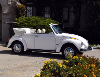 1976 Volkswagen Beetle Convertible "Bicentennial" (Type 1) '1976
