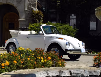 1976 Volkswagen Beetle Convertible "Bicentennial" (Type 1) '1976