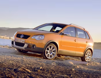 Volkswagen CrossPolo (Typ 9N3) '2006–09