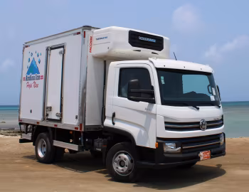 Volkswagen Delivery 9.170 [Latam] '09.2017–22