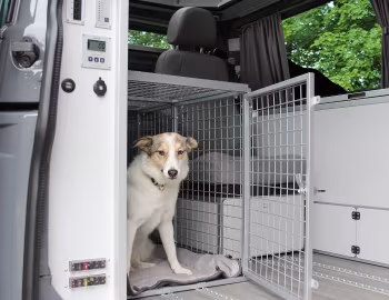 Інтэр'ер Volkswagen Dogscamper (T6) '11.2017–н.ч.