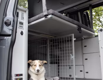 Інтэр'ер Volkswagen Dogscamper (T6) '11.2017–н.ч.
