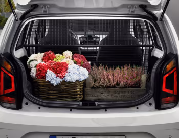 Ambos Volkswagen e-load up! '2016–23