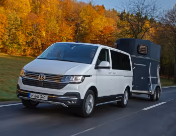 Volkswagen Multivan PanAmericana 4MOTION [Worldwide] (T6.1) '2020–24