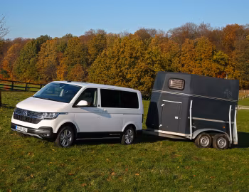 Volkswagen Multivan PanAmericana 4MOTION [Worldwide] (T6.1) '2020–24