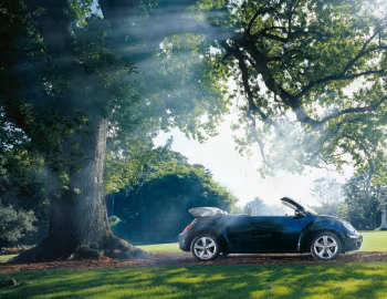 Volkswagen New Beetle Cabrio '2000–05