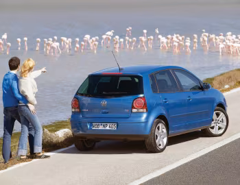 Volkswagen Polo 5-door (Typ 9N3) '2005–09