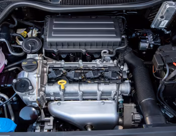 Sous la capuche Volkswagen Polo Vivo "Mswenko" [South Africa] (Typ 6C) '2020