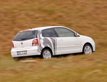 Volkswagen Polo "Werder Edition" [Germany] (Typ 9N3) '2008
