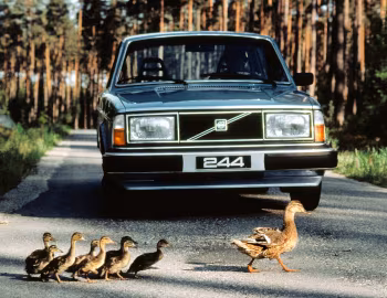 1980 Volvo 244 GL [Worldwide] (P244)