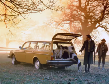 1979 Volvo 245 GL [Worldwide] (P245)