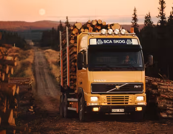 Volvo FH12 rigid timber truck '1993–2002