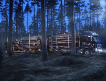 Volvo FH16 600 6×4 rigid Globetrotter cab Timber Truck '2009–12