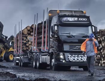 Volvo FH16 600 6×4 rigid Globetrotter cab Timber Truck '2009–12