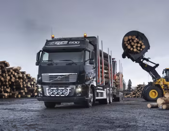 Volvo FH16 600 6×4 rigid Globetrotter cab Timber Truck '2009–12