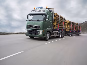Volvo FH16 660 6×4 rigid Globetrotter cab Timber Truck '2006–08
