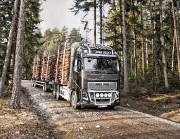 Volvo FH16 750 6×4 rigid Globetrotter cab timber truck '2013–pr.
