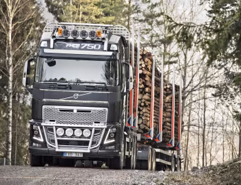Volvo FH16 750 6×4 rigid Globetrotter cab timber truck '2013–pr.