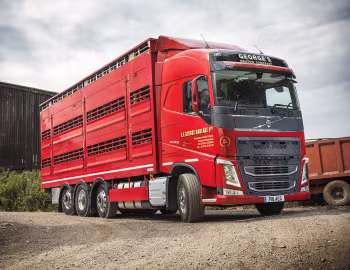 Volvo FH 500 8×2 tridem Globetrotter cab with Pezzaioli trailer body [UK-spec] '2013–pr.