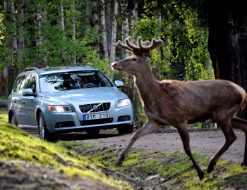 Volvo V70 [Worldwide] '2007–09