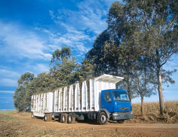 Volvo VM23 6×2 '2003–05