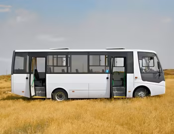 Волжанин-32901 '2010