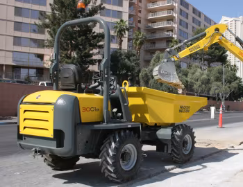 Wacker Neuson 3001s [Worldwide] '2008–pr.