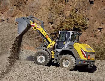 Wacker Neuson WL95 [Worldwide] '01.2019–pr.