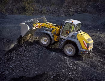 Wacker Neuson WL95 [Worldwide] '01.2019–pr.