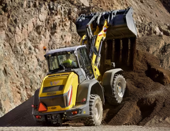 Wacker Neuson WL95 [Worldwide] '01.2019–pr.