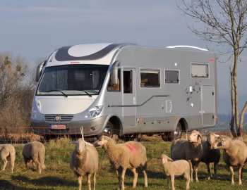 Wanner Grand Comfort '2011–????