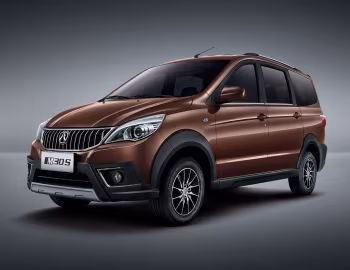 Weiwang M30S '2017–21