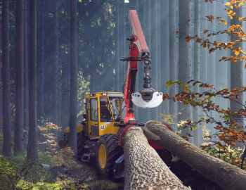 Welte W100 '2015–pr.