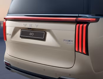 WEY 80 Premium [CIS] '2024–至今