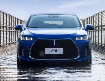 WEY P8 '2017–20