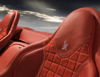 Інтер'єр Wiesmann Roadster MF5 '2009