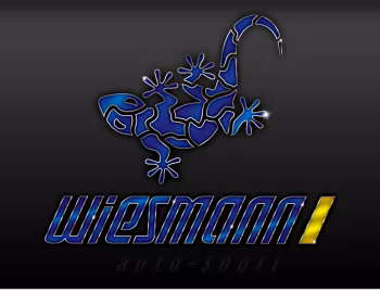 Логотип Wiesmann