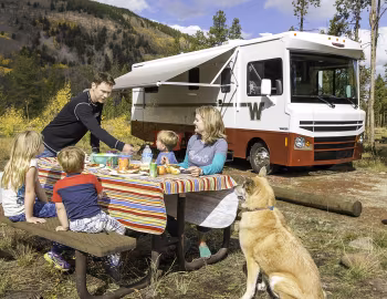 2015–н.ч. Winnebago Brave '2014–н.ч.