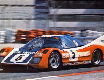 WM P79/80 '1979–81