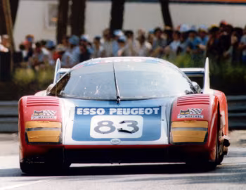 WM P81 '1981